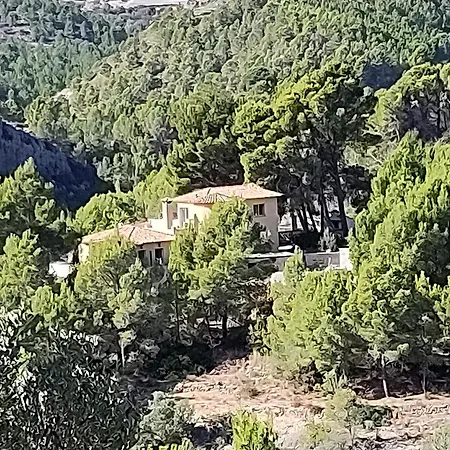 بيت خشبي Caracol Bolulla